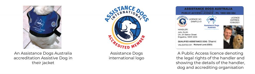 Assistance Dogs image